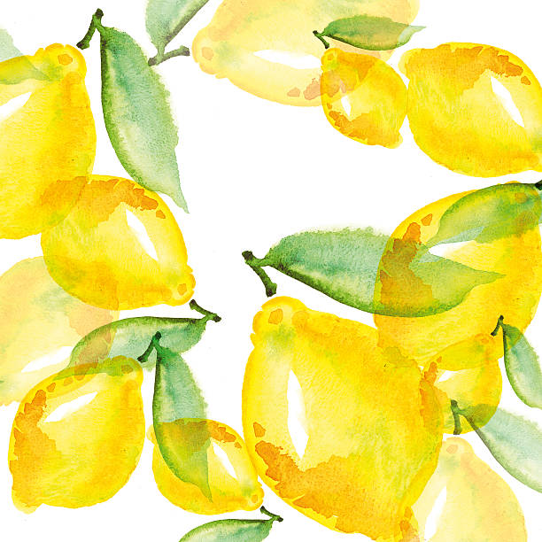 istock watercolour hand iluustration of lemon fruit 503192608