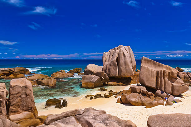 istock Tropical beach at Seychelles 503193930