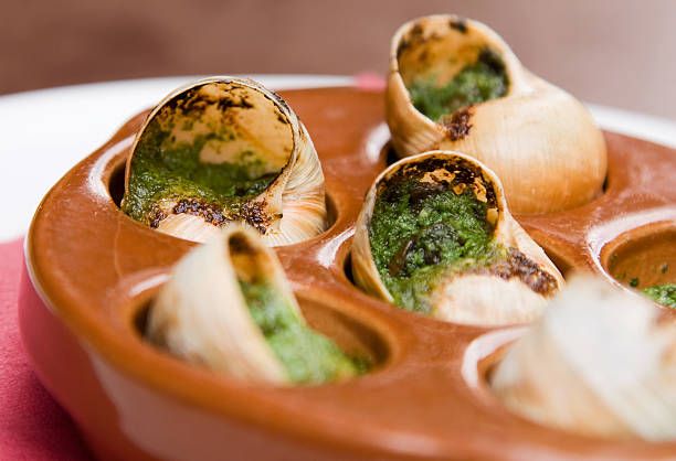 フランス産巻き貝 - gourmet snail food escargot ストックフォトと画像