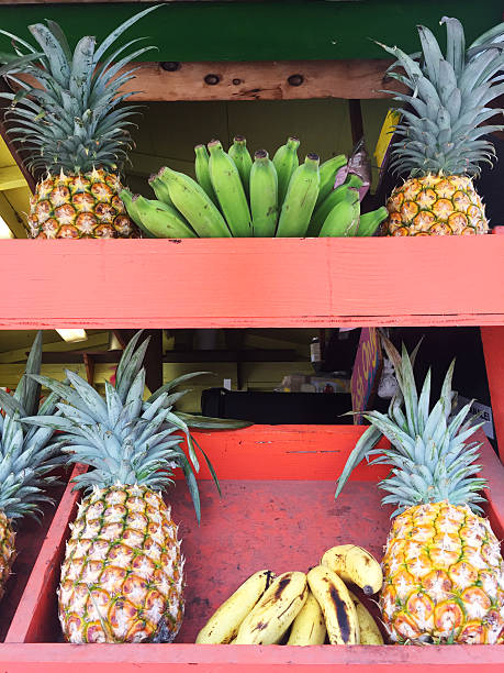istock Colorful fruit for sale on Kauai, Hawaii 503195220