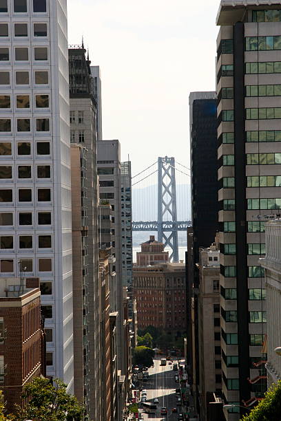 istock Downtown San Francisco with view of bridge 503196414
