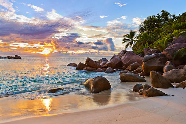 Seychelles tropical beach at sunset Seychelles tropical beach at sunset - nature background praslin island stock pictures, royalty-free photos & images