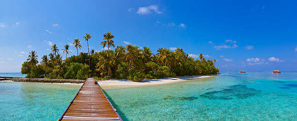 istock Tropical Maldives island 503199702