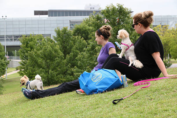 People relaxing with pets stock photo