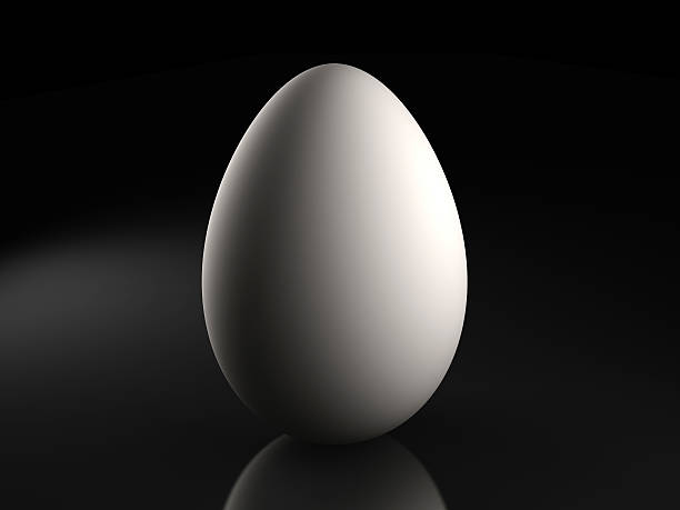istock 3d illustration of an egg in a dark background 503205023