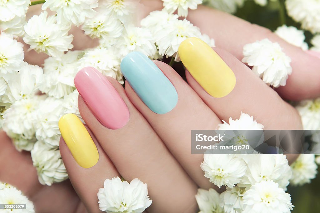 Manicure cake. Pastel manicure on female hand with flower Hipsofilas Fingernail Stock Photo
