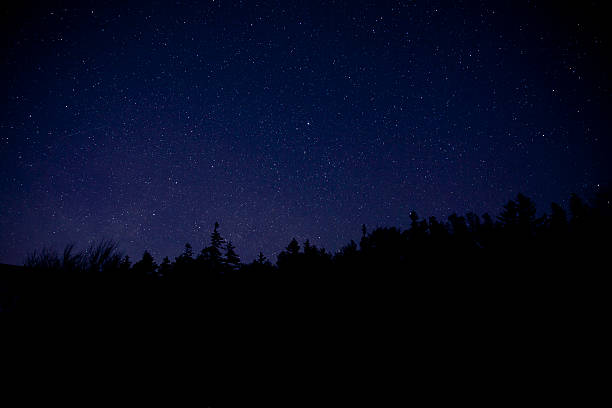 アカディア国立公園、夜の星空 - maine landscape new england forest ストックフォトと画像