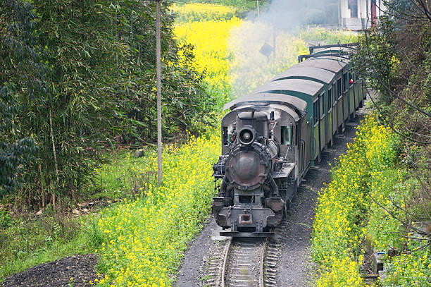 istock Jia Yang steam train, China 503209141