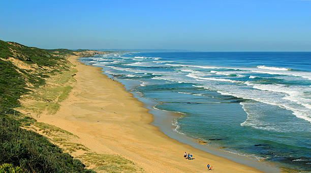 istock Long sunny beach in Sorrento, Australia 503209689
