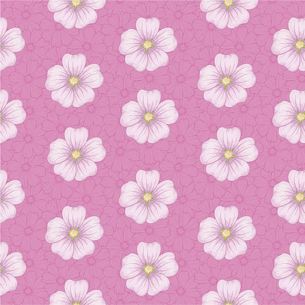 nahtlose blümchenmuster, malve und cosmos - blossom florescence flower wallpaper pattern stock-grafiken, -clipart, -cartoons und -symbole