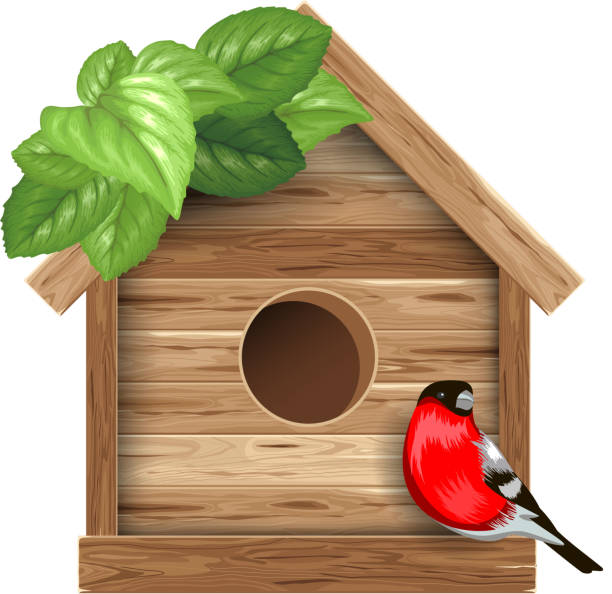 vogelhäuschen - birdhouse wood isolated white background stock-grafiken, -clipart, -cartoons und -symbole