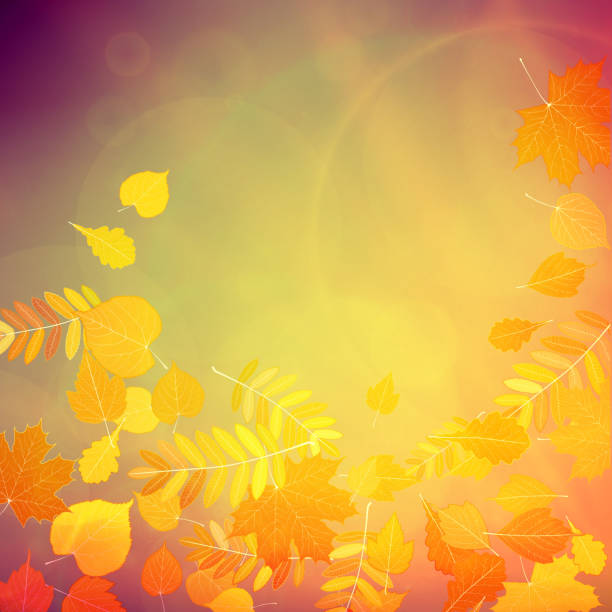 istock Autumn Colorful red and yellow leaves. 503209963