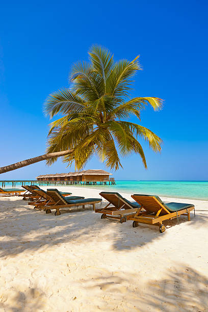 Loungers on Maldives beach Loungers on Maldives beach - nature vacation background water bungalow maldives stock pictures, royalty-free photos & images