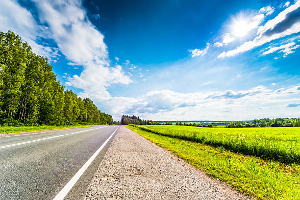istock Rural road passing through fields and woods 503215442