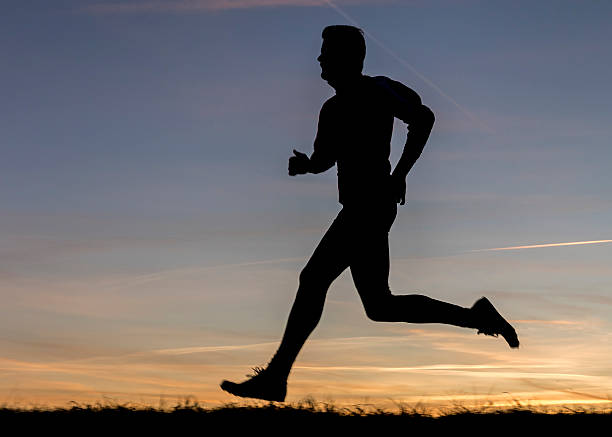 istock silhouette of a jogger in sunrise 503215696