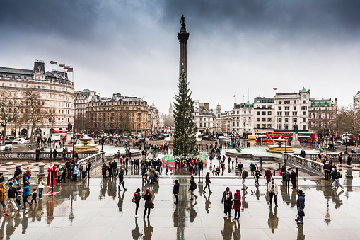 Crowds of tourists flock to the famous Christmas tree in Trafalgar Square, London, UK on a cold, wet day in December. In the background we can see Big Ben, and the scene is crowded with famous red London buses and black taxis. The Trafalgar Square Christmas tree is a Christmas tree donated to the people of Britain by the city of Oslo each year since 1947. The tree is prominently displayed in Trafalgar Square from the beginning of December until 6 January. Horizontal colour image with copy space. 