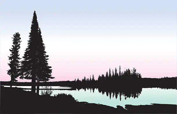 Vector illustration of Washington Lakeshore