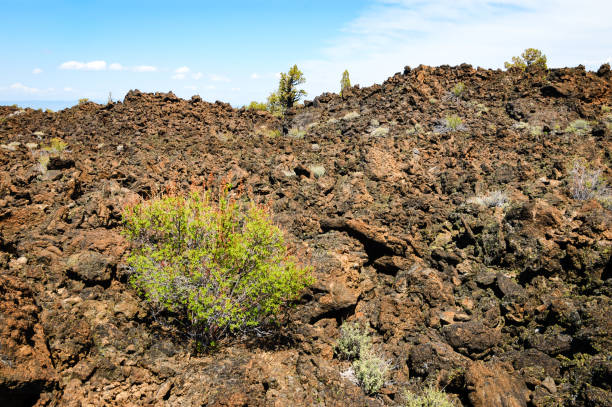 istock Lava Beds National Monument 503216204