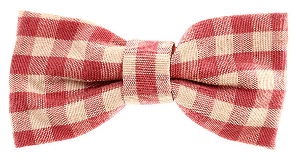 istock Red white plaid hair bow tie vintage 503216448
