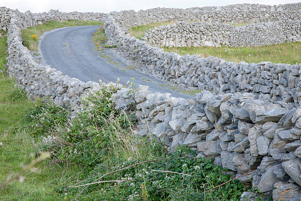 istock Stone Walls and Open Road on Inishmore; Aran Islands 503216758