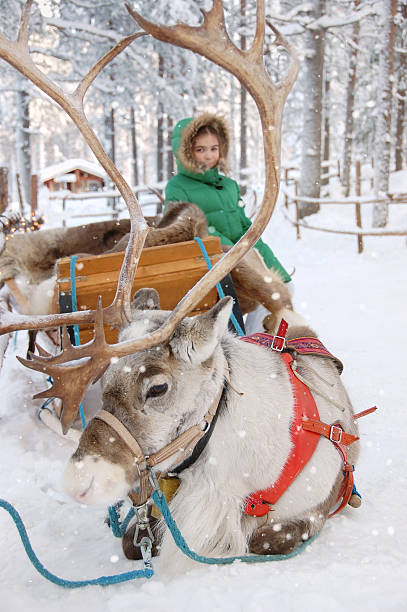 istock Girl and Reindeer Sleigh 503219812