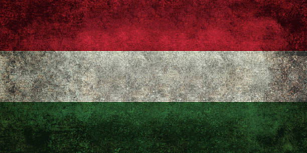 istock Distressed national flag of Hungary, 1:2 scale 503219994