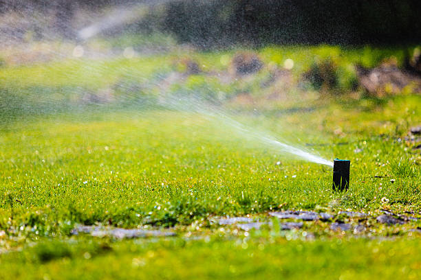 istock Gardening. Lawn sprinkler spraying water over grass. 503220197