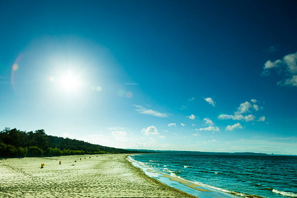 istock Seascape. Path to the sandy beach. Summer. 503220289