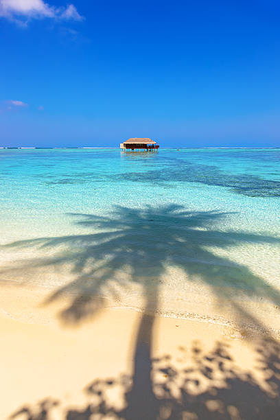 Tropical Maldives island Tropical Maldives island - nature travel background water bungalow maldives stock pictures, royalty-free photos & images