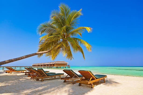 Loungers on Maldives beach Loungers on Maldives beach - nature vacation background water bungalow maldives stock pictures, royalty-free photos & images