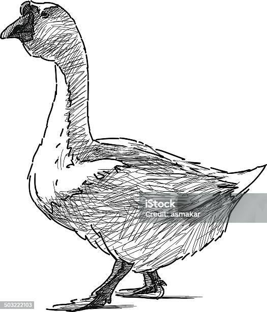 Goose Andar - Arte vetorial de stock e mais imagens de Agricultura - Agricultura, Andar, Asa de animal