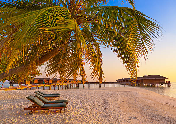 istock Loungers on Maldives beach 503222200