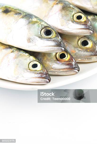 Fresh Mackerel Fish Stock Photo - Download Image Now - Animal, Animal Fin, Fish
