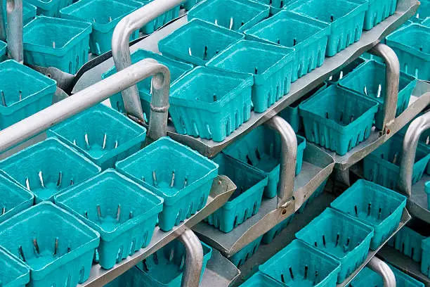 Stacks of 1-Pint cartons wait to be filled with berries or fresh fruit. Teal cartons are supported by aluminum trays with handles.