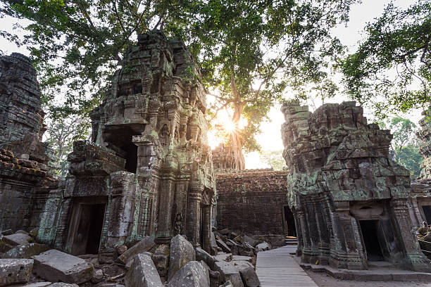 istock Ta Prohm temple in Siem reap , Cambodia 503223852