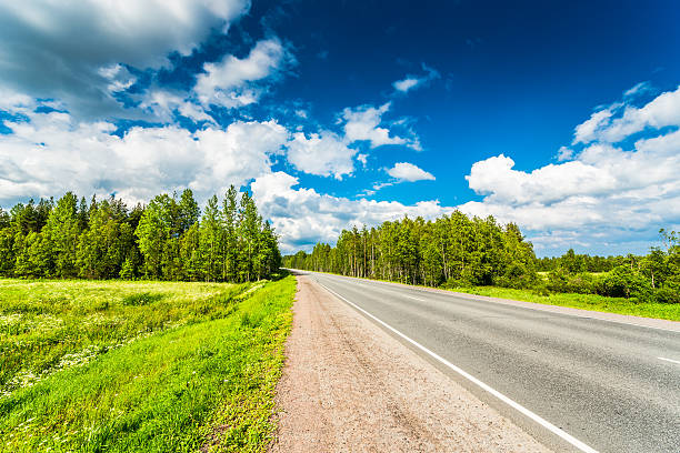 istock Rural road in the woods cloudy day 503224102