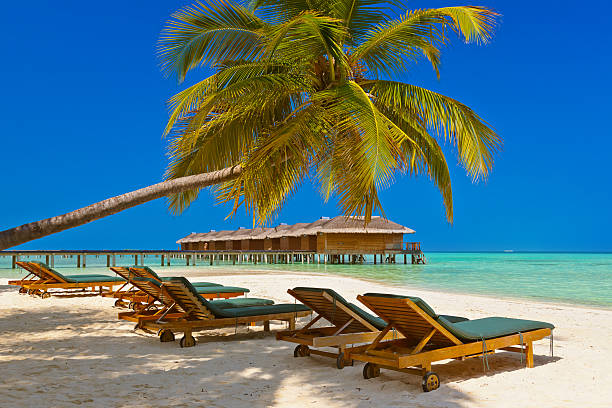 Loungers on Maldives beach Loungers on Maldives beach - nature vacation background water bungalow maldives stock pictures, royalty-free photos & images