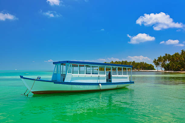 istock Tropical island and boat 503224394