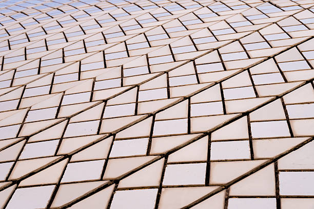 dettagli architettonici dell'opera house di sydney, australia - sydney opera house sydney australia opera house bridge foto e immagini stock