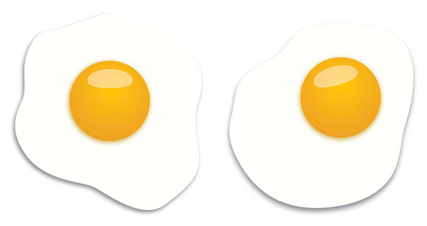 ilustraciones, imágenes clip art, dibujos animados e iconos de stock de dos huevos fritos - eggs fried egg egg yolk isolated