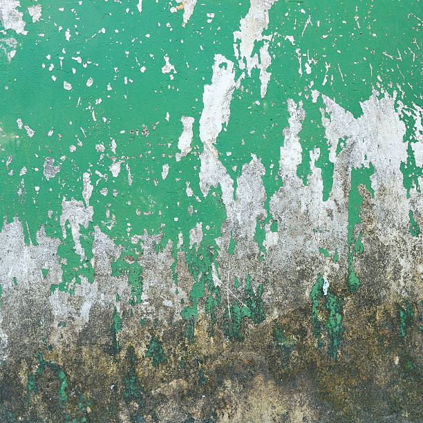 istock Texture of old concrete grunge wall background 503226697