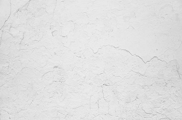 istock Old color white gray wall painted background 503227548