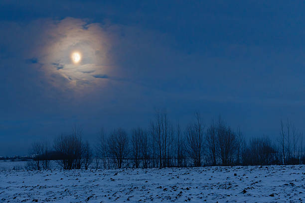 istock Mystical lunar landscape in blue tones. 503228078