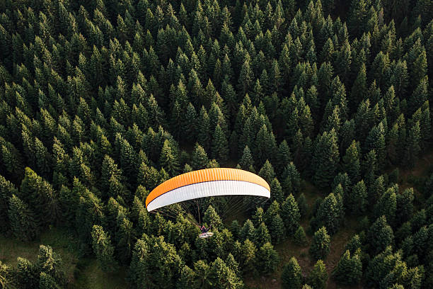 istock aerial view of paramotor flying over the forest 503228686