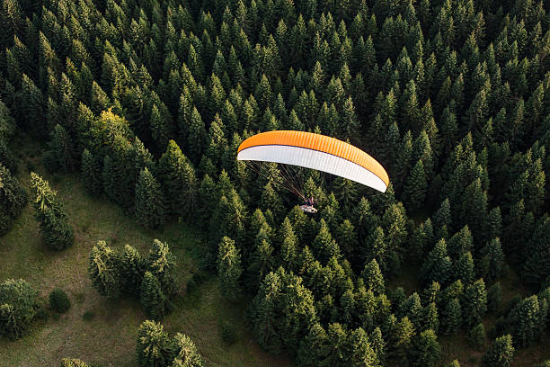istock aerial view of paramotor flying over the forest 503228726