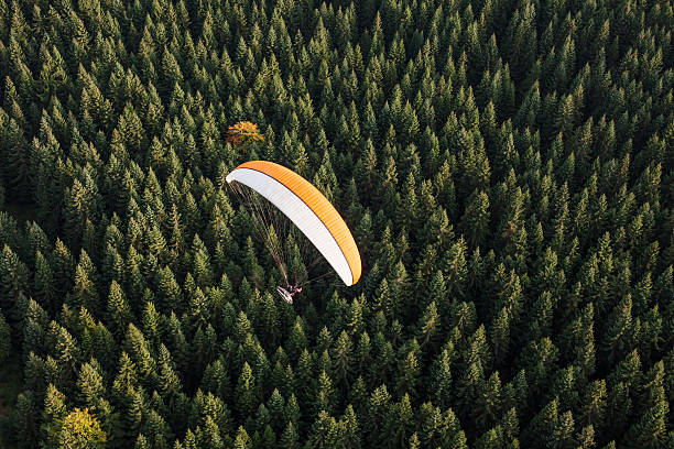 istock aerial view of paramotor flying over the forest 503228820
