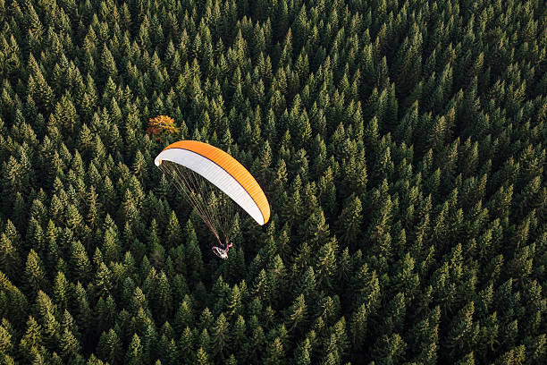 istock aerial view of paramotor flying over the forest 503228868
