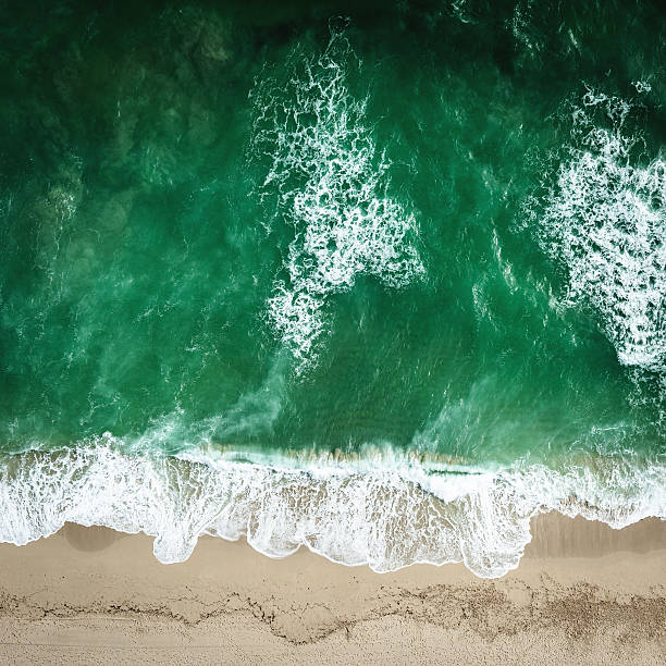 istock South beach miami seaside aerial view 503229040