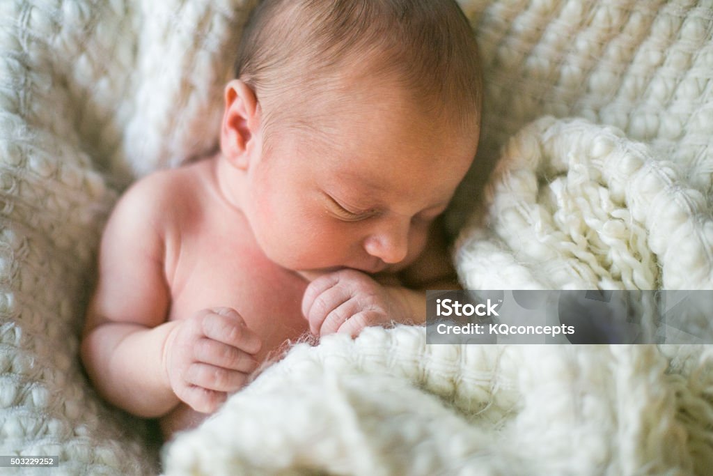 Newborn sleeping in blanket A brand new one week old baby boy sleeps wrapped in a white fuzzy blanket. He is peaceful and his hand rests near his mouth. Baby - Human Age Stock Photo