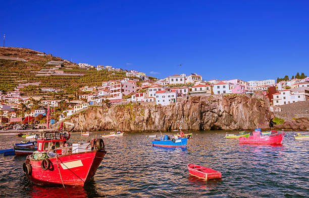 Fishing boats in the Bay of Camera de Lobos, Funchal (Madeira)